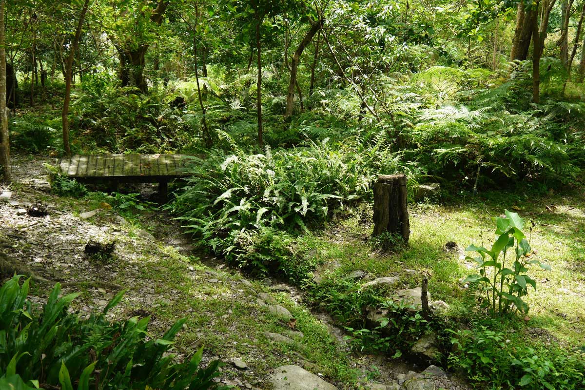 2013 阿塱壹古道 3 - 知本國家森林遊樂園